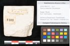 Foto (Objekt + Etikett) von Quercus palaeoilex Ettingshausen (NHMW-GEO-2024-0188-8103)